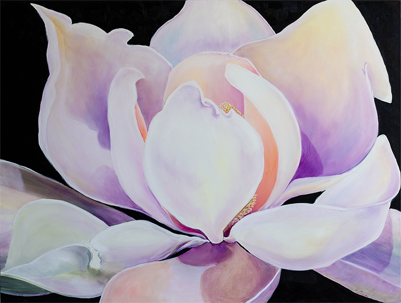 Image Related to the Content on this Web Page